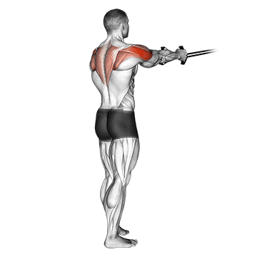 Back Exercise 1