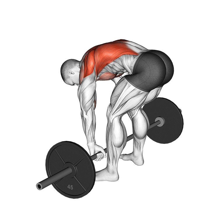 Back Exercise 2