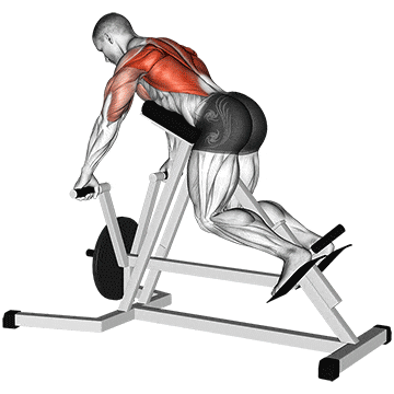 Back Exercise 5