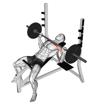 Chest Exercise 2