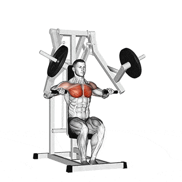 Chest Exercise 5