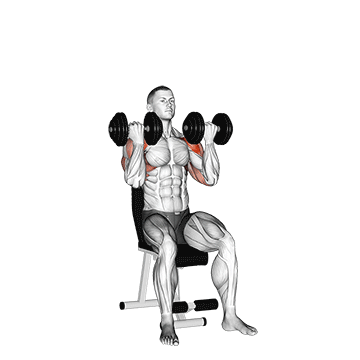 Shoulder Exercise 1