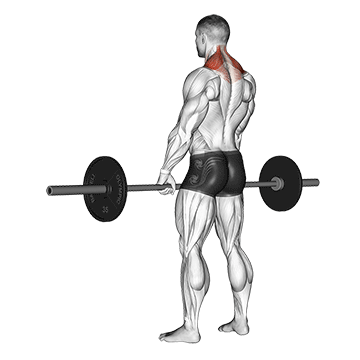 Shoulder Exercise 2