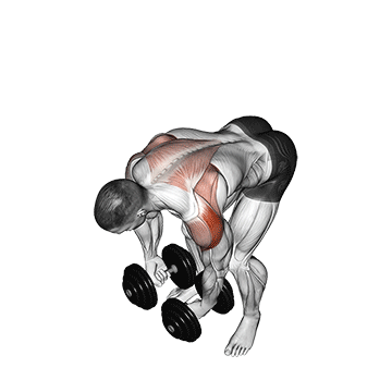 Shoulder Exercise 4