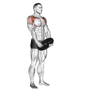 Shoulder Exercise 5