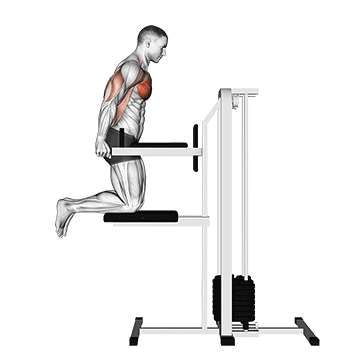 Triceps Exercise 1
