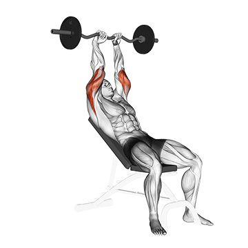 Triceps Exercise 2