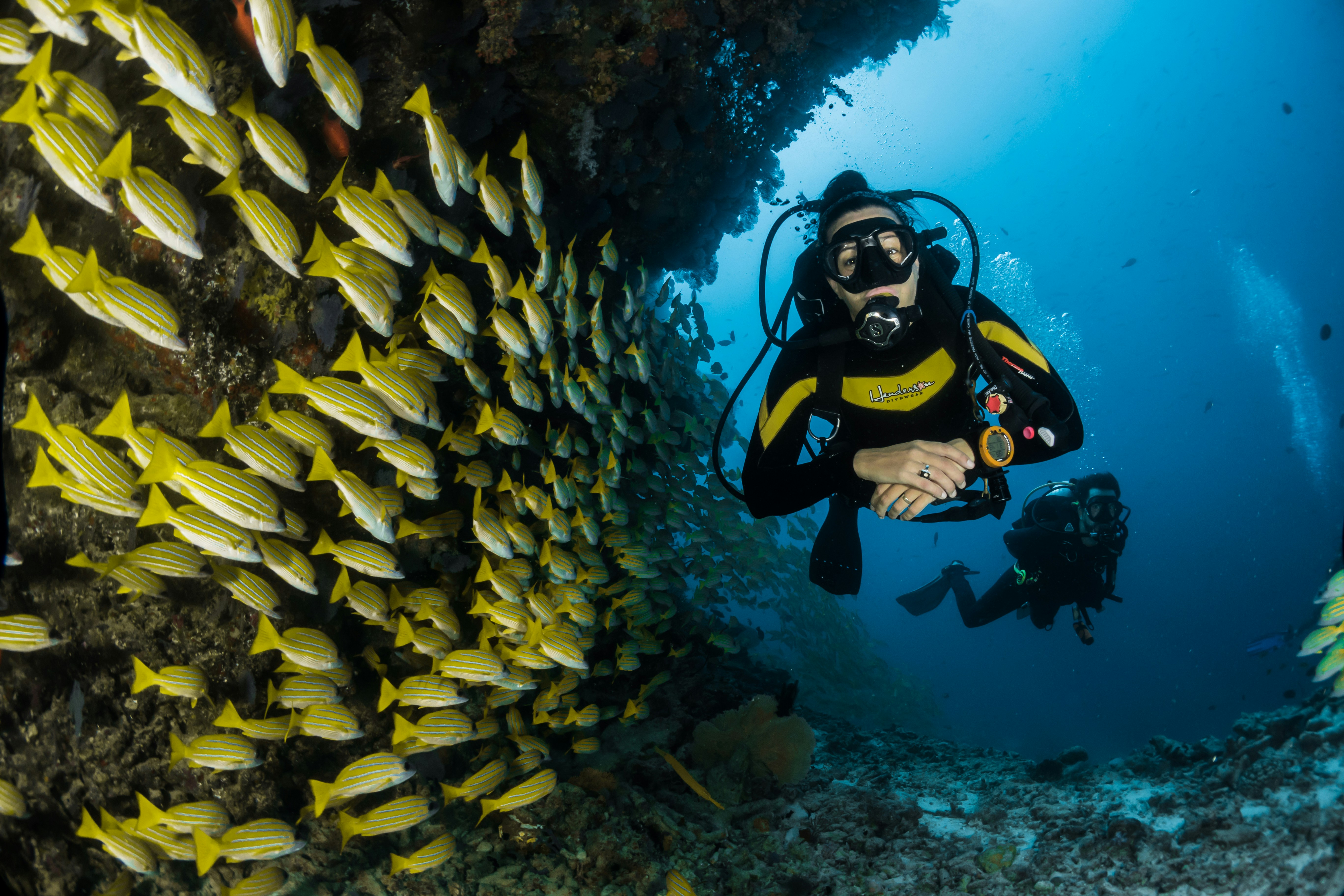 Scuba-Doo